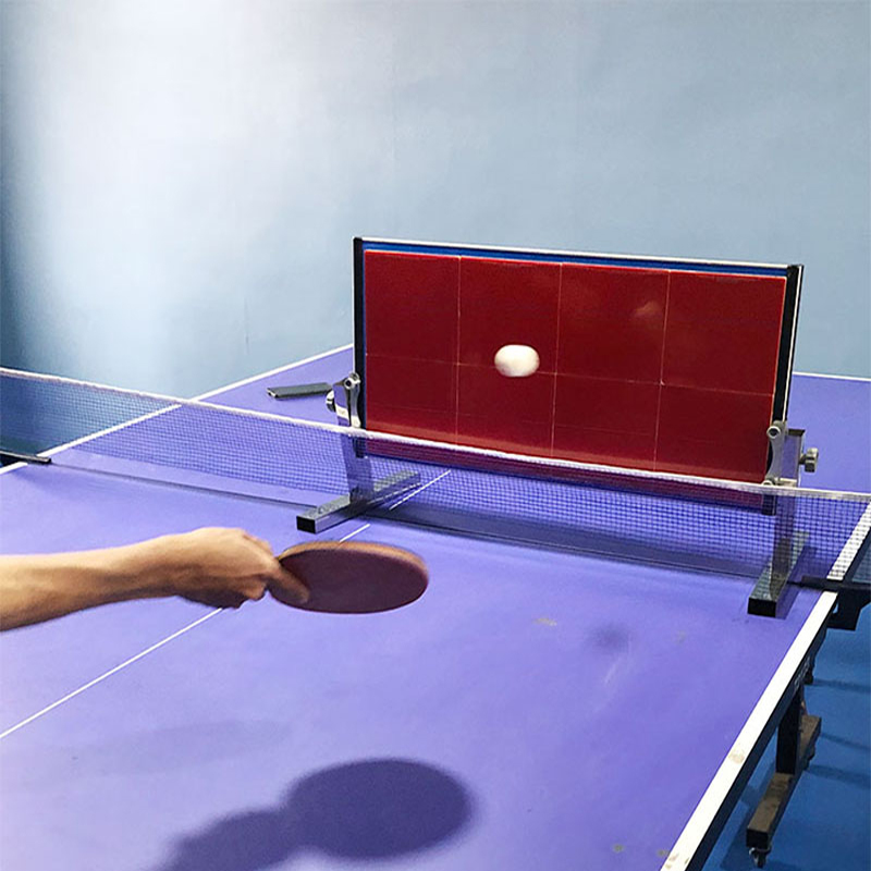 Thuis Tafeltennis Rebound Boar - Table Tennis Vr recensie en prijs