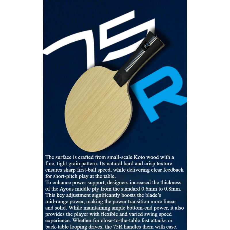 SANWEI 75R 5+2 Buitenste H-GLC - Table Tennis Paddle recensie en prijs